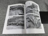 平安京左京三条三坊十町(押小路殿・二条殿)跡  京都市埋蔵文化財研究所発掘調査概報2002-7