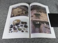 平安京左京二条四坊五町跡　　リソシエ・アージュ御所南建設に伴う埋蔵文化財発掘調査報告書