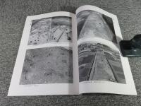 長岡京右京二条三坊九・十六町跡、上里遺跡＜京都市埋蔵文化財研究所発掘調査報告 2006-4＞