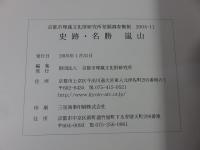 史跡・名勝 嵐山 ＜京都市埋蔵文化財研究所発掘調査概報 2004-11＞