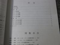 常盤仲之町遺跡・上ノ段町遺跡 ＜京都市埋蔵文化財研究所発掘調査報告 2006-6＞