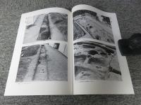 草木町遺跡 ＜京都市埋蔵文化財研究所発掘調査概報 2001 13＞