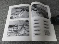 山科本願寺跡 ＜京都市埋蔵文化財研究所発掘調査報告 2005-3＞