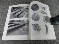 鳥羽離宮跡 ＜京都市埋蔵文化財研究所発掘調査概報 2003-12＞