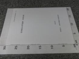 羽束師志水町遺跡・長岡京跡 ＜京都市埋蔵文化財研究所発掘調査報告 2009-10＞