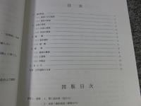 羽束師志水町遺跡・長岡京跡 ＜京都市埋蔵文化財研究所発掘調査報告 2009-10＞
