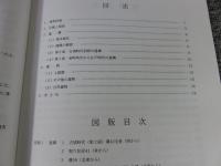 革嶋館跡 ＜京都市埋蔵文化財研究所発掘調査報告 2009-6＞