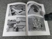 革嶋館跡 ＜京都市埋蔵文化財研究所発掘調査報告 2009-6＞