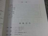 史跡教王護国寺境内 ＜京都市埋蔵文化財研究所発掘調査報告 2009-13＞