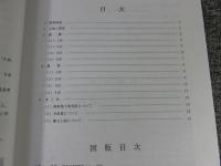 上ノ段町遺跡 ＜京都市埋蔵文化財研究所発掘調査概報 2003-2＞