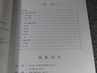 白河街区跡・岡崎遺跡 ＜京都市埋蔵文化財研究所発掘調査概報 2002-17＞