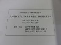 穴太遺跡(下大門・東生水地区)発掘調査報告書 ＜大津市埋蔵文化財調査報告書 37＞