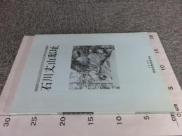 石川丈山邸址 ＜安城市埋蔵文化財発掘調査報告書 第5集＞