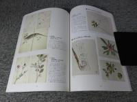 おおいた発！幕末文化維新 : 賀来家・華麗なる一族 ＜特別展＞