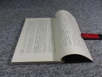 江戸川乱歩長篇全集18　化人幻戯　春陽文庫