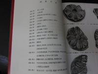 古代の瓦を考える　―年代・生産・流通―