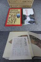 大漢和辞典　修訂版　全13