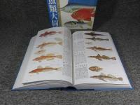 原色魚類大圖鑑