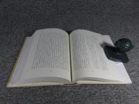 ある青年の覚え書・道半ば　ヘンリー・ジェイムズ自伝　第二巻・第三巻