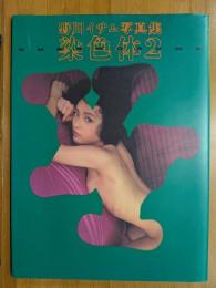 染色体2 : 野川イサム写真集