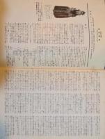 原始仮面 : 呪術的人間のさまざまな顔
