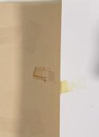 女プロレス (SM叢書)