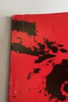 滝川恵清写真集  「十七年目の訪問 森永ヒ素ミルク中毒のこどもたち」