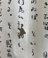 星野徹 草稿「名付けることから無限に遠く ＊藤村壮詩集『めぐる鳥』について」