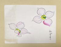 大浦みずき 宝塚歌劇団入団挨拶状【阿川弘之宛】印刷+自筆イラスト署名 昭和49