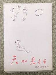 天が見える  辻直樹随筆集