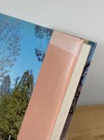 甲賀の歳月 : 忍術甲賀流の背景