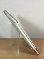 衰耄する女詩人の日々