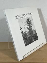 アルビン・ブルノフスキ展図録 : 迷宮の世界と心の楽園