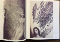 アルビン・ブルノフスキ展図録 : 迷宮の世界と心の楽園