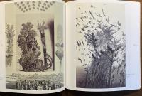 アルビン・ブルノフスキ展図録 : 迷宮の世界と心の楽園