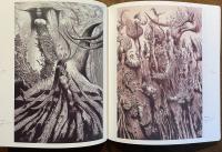 アルビン・ブルノフスキ展図録 : 迷宮の世界と心の楽園