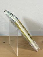 社会の安全と不安全 : 保護されるとはどういうことか