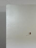 草原の王朝 契丹 : 美しき3人のプリンセス