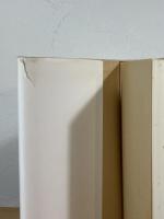 丸山健二自選中篇集