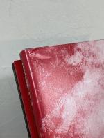 スペクタクル：あるいは生という小さな毱