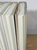 丸山健二 全短篇集成