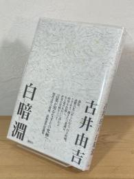 白暗淵