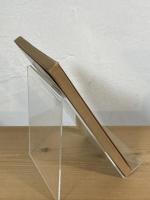 ガラス箱の蟻
