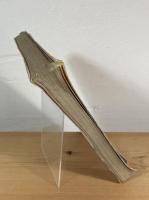 広東福建読本 : 附:海南島事情