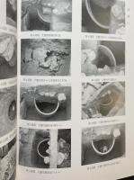 伝羽柴秀勝墓 : 学術調査報告書