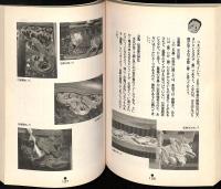 路上探検隊奥の細道をゆく