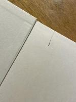 小林宗作抄伝 : トットちゃんの先生 金子巴氏の話を中心に