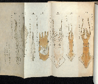 富山県史蹟名勝天然紀念物調査会報告