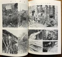 パラワン島の人と自然・パラワン島南部の山地民 