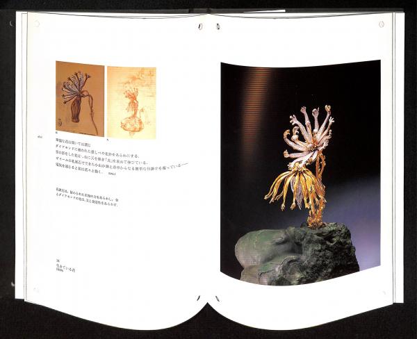 サルバトーレ・ダリ　宝石デザイン展の図録 古書古本 dessin：Dali: Art-in-Jewels 奇蹟のダリ宝石展